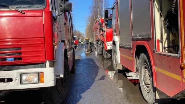 umtpdzhitsi