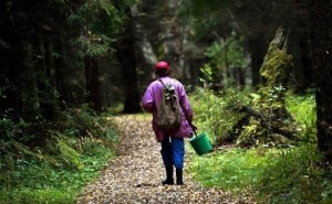 31axml3ce5hryy1h_hzl8-_e2ojbzuvj7ybojzzswgelxakrvkax-vuz-mcstpeb7z-t-yqhvfaecrmiktadxjna