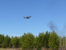 avialesoohrana