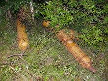 p1330289