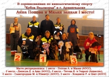 sorevnovaniya-kinologov-mini