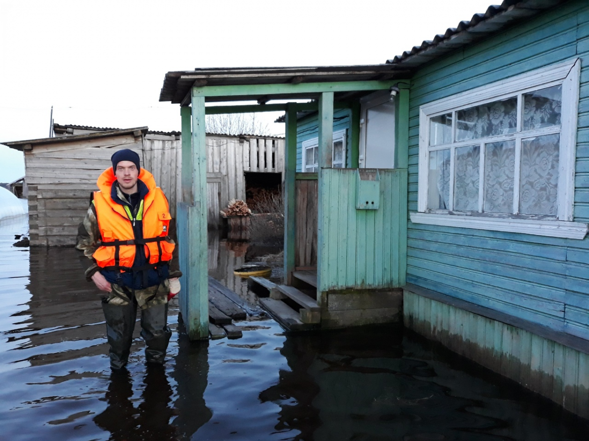 Погода в пинежском районе на неделю. Деревня Шардонемь Пинежский район. Кеврола Пинежский Архангельская область. Архангельская область Пинежский район деревня Шардонемь. Архангельская область Шардонемь Пинежский район деревня Шардонемь.