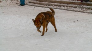 001_новый_размер